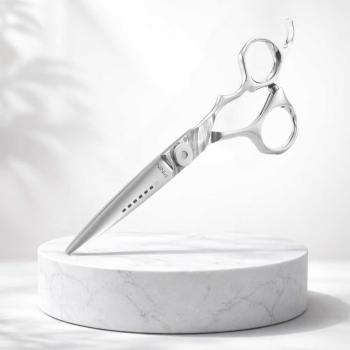 Preview: Pinin Q6 Amy